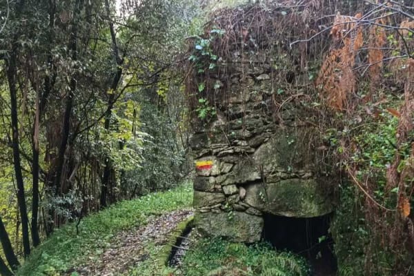 Foto 9 da atividade Galeria de Fotos