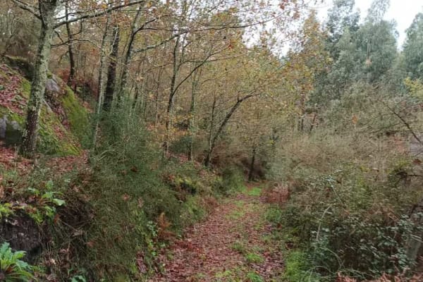 Foto 1 da atividade Galeria de Fotos