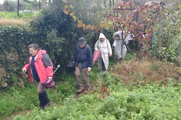 Foto 53 da atividade Galeria de Fotos