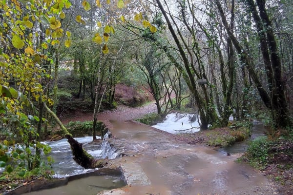 Foto 52 da atividade Galeria de Fotos