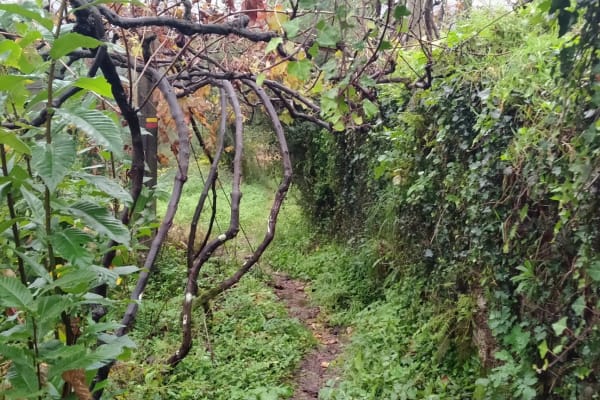 Foto 50 da atividade Galeria de Fotos