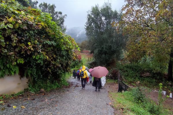 Foto 43 da atividade Galeria de Fotos