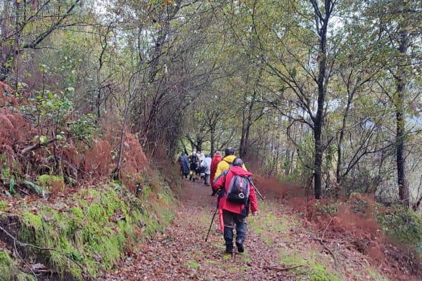 Foto 36 da atividade Galeria de Fotos