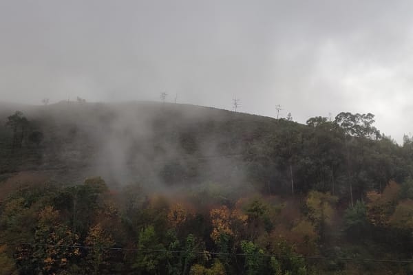 Foto 25 da atividade Galeria de Fotos