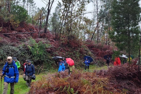 Foto 9 da atividade Galeria de Fotos