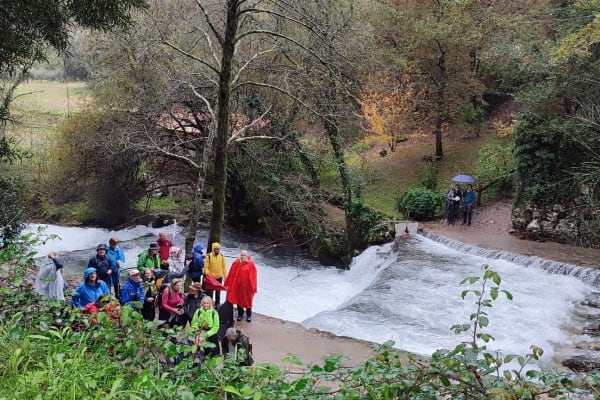 Foto 7 da atividade Galeria de Fotos