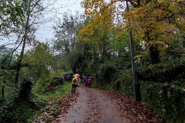 Foto 2 da atividade Galeria de Fotos