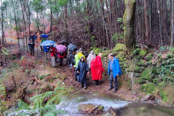 Foto 1 da atividade Galeria de Fotos