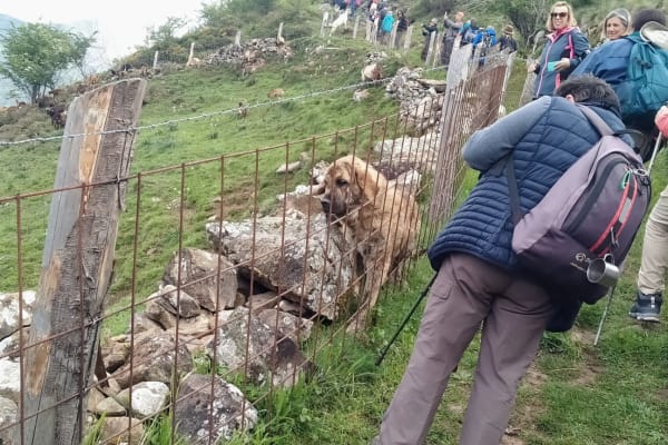 Foto 58 da atividade Galeria de Fotos