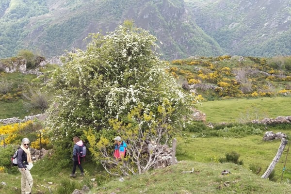 Foto 30 da atividade Galeria de Fotos