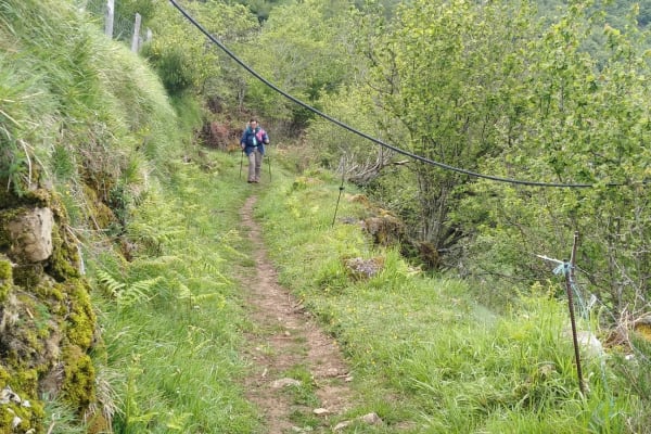 Foto 11 da atividade Galeria de Fotos