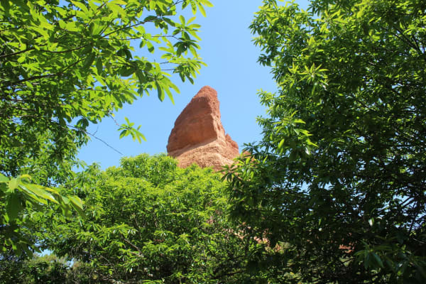 Foto 83 da atividade Galeria de Fotos