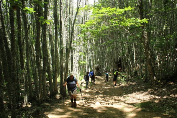 Foto 59 da atividade Galeria de Fotos