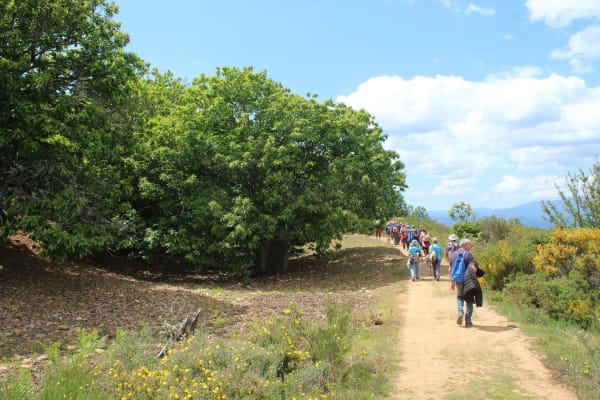 Foto 53 da atividade Galeria de Fotos