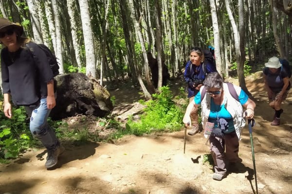 Foto 52 da atividade Galeria de Fotos