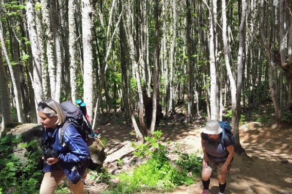 Foto 44 da atividade Galeria de Fotos