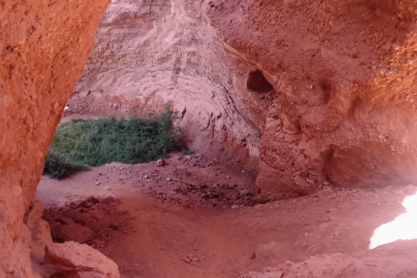 Foto 33 da atividade Galeria de Fotos