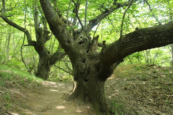 Foto 30 da atividade Galeria de Fotos