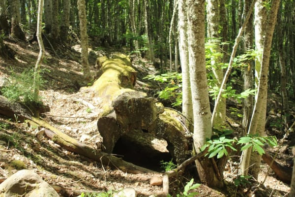 Foto 28 da atividade Galeria de Fotos