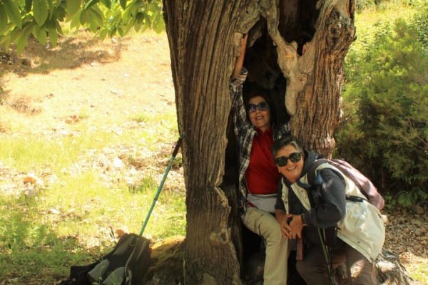 Foto 3 da atividade Galeria de Fotos