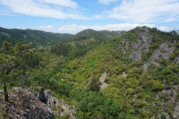 Foto 47 da atividade Galeria de Fotos