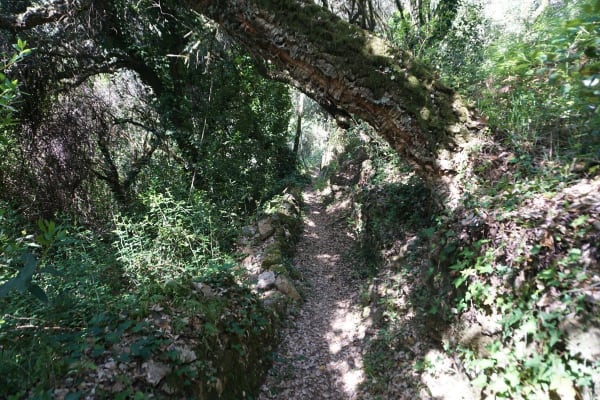 Foto 12 da atividade Galeria de Fotos