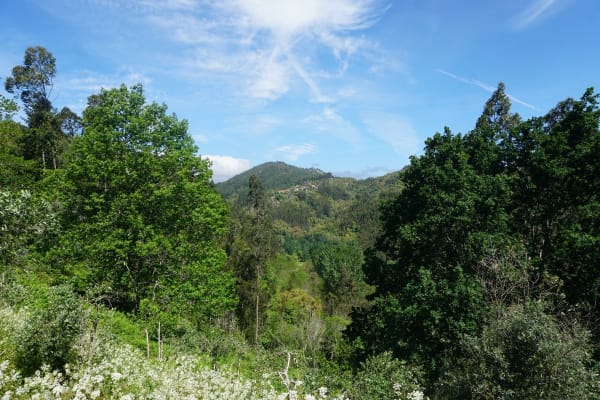 Foto 6 da atividade Galeria de Fotos