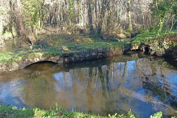 Foto 56 da atividade Galeria de Fotos