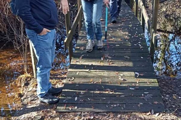 Foto 52 da atividade Galeria de Fotos