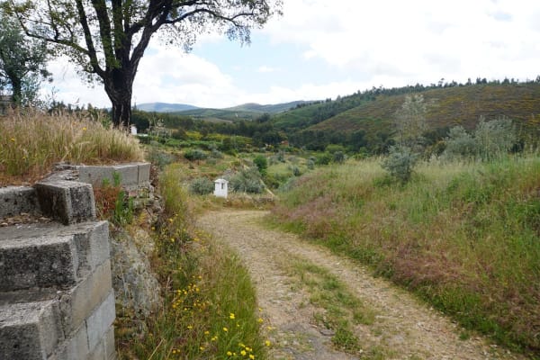 Foto 77 da atividade Galeria de Fotos