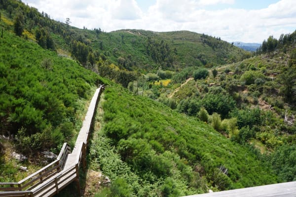 Foto 64 da atividade Galeria de Fotos