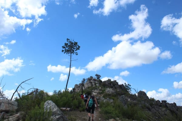 Foto 63 da atividade Galeria de Fotos