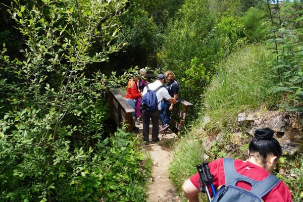 Foto 47 da atividade Galeria de Fotos