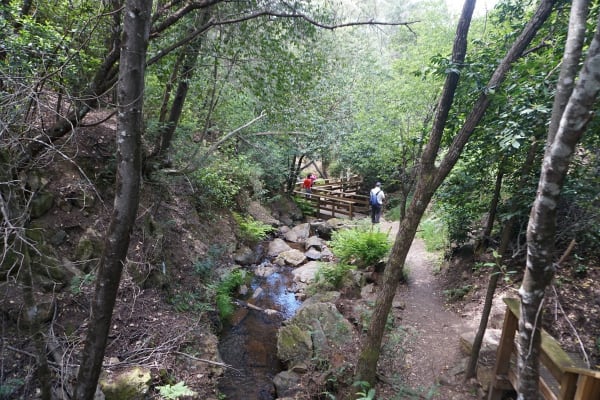 Foto 27 da atividade Galeria de Fotos