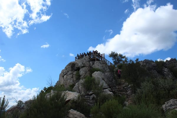 Foto 25 da atividade Galeria de Fotos