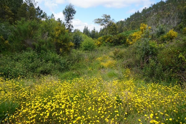 Foto 5 da atividade Galeria de Fotos