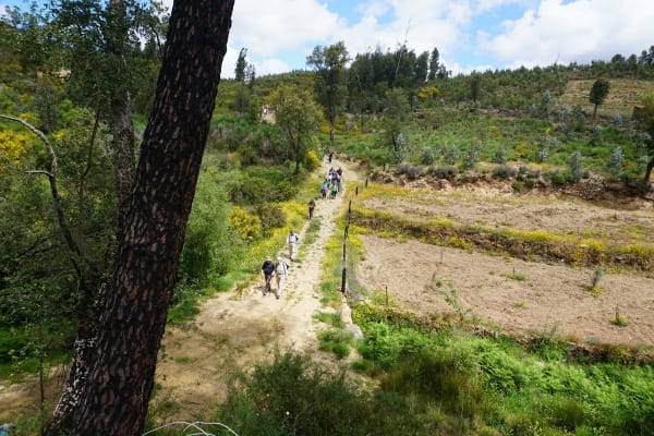 Foto 3 da atividade Galeria de Fotos