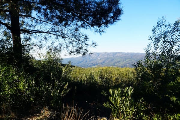 Foto 50 da atividade Galeria de Fotos