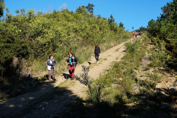 Foto 48 da atividade Galeria de Fotos