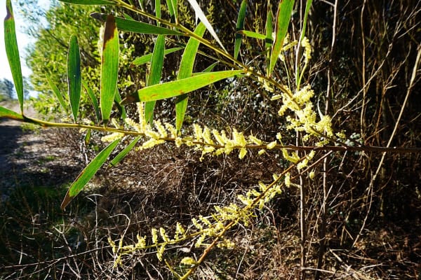 Foto 49 da atividade Galeria de Fotos