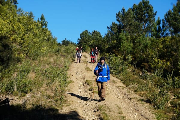 Foto 40 da atividade Galeria de Fotos