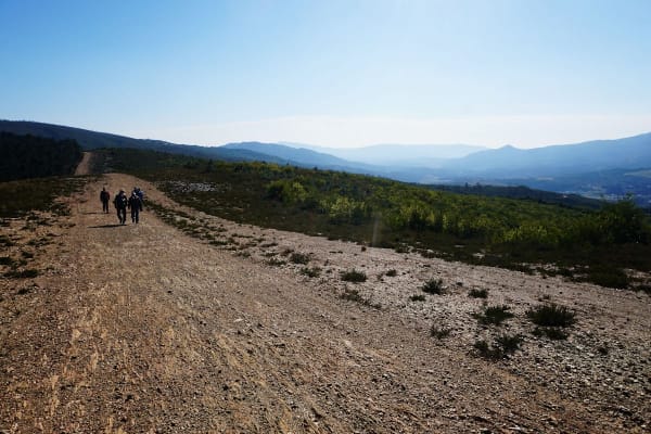 Foto 36 da atividade Galeria de Fotos