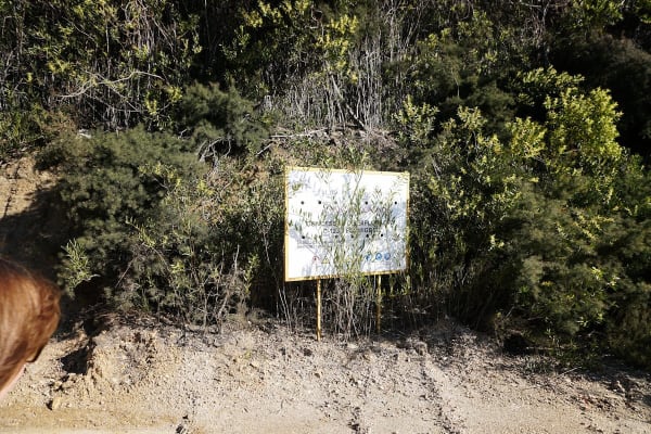 Foto 8 da atividade Galeria de Fotos