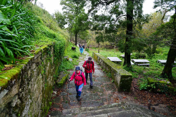 Foto 64 da atividade Galeria de Fotos