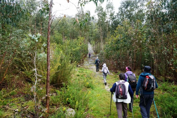 Foto 63 da atividade Galeria de Fotos