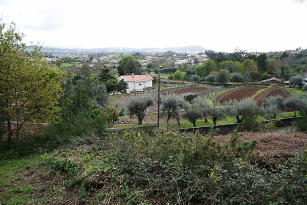 Foto 60 da atividade Galeria de Fotos