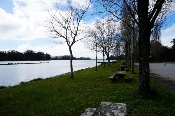 Foto 46 da atividade Galeria de Fotos