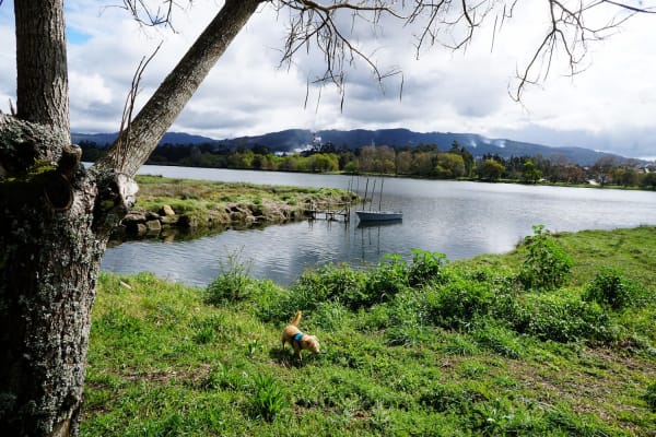 Foto 34 da atividade Galeria de Fotos