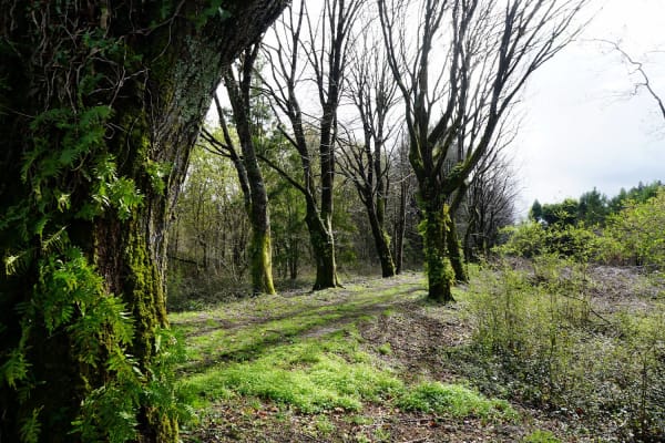 Foto 27 da atividade Galeria de Fotos