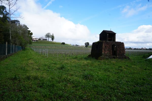 Foto 25 da atividade Galeria de Fotos